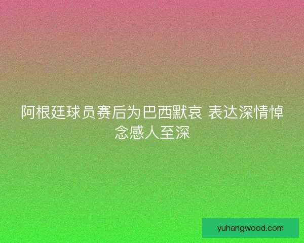 阿根廷球员赛后为巴西默哀 表达深情悼念感人至深