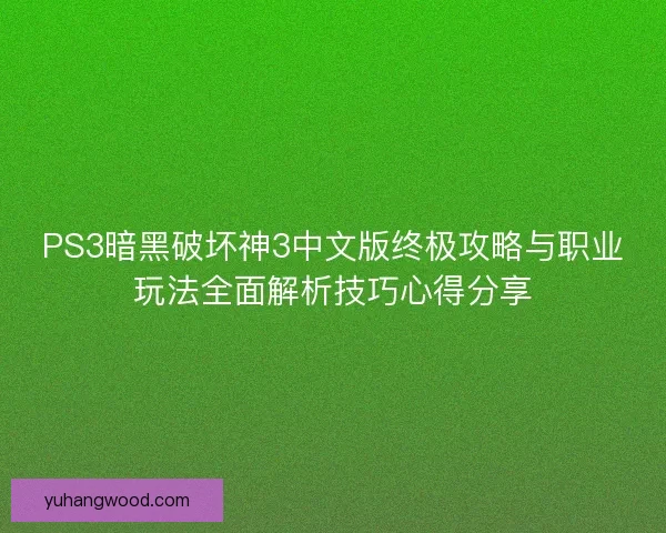 PS3暗黑破坏神3中文版终极攻略与职业玩法全面解析技巧心得分享
