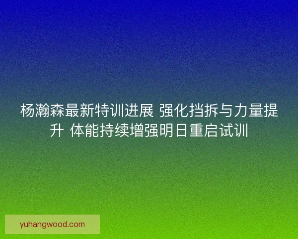 杨瀚森最新特训进展 强化挡拆与力量提升 体能持续增强明日重启试训 杨瀚森最新特训进展 强化挡拆与力量提升 体能持续增强明日重启试训