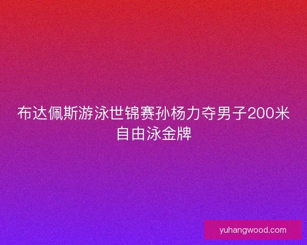 布达佩斯游泳世锦赛孙杨力夺男子200米自由泳金牌