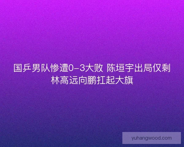 国乒男队惨遭0-3大败 陈垣宇出局仅剩林高远向鹏扛起大旗