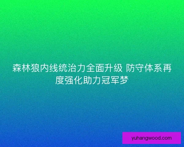 森林狼内线统治力全面升级 防守体系再度强化助力冠军梦 森林狼内线统治力全面升级 防守体系再度强化助力冠军梦